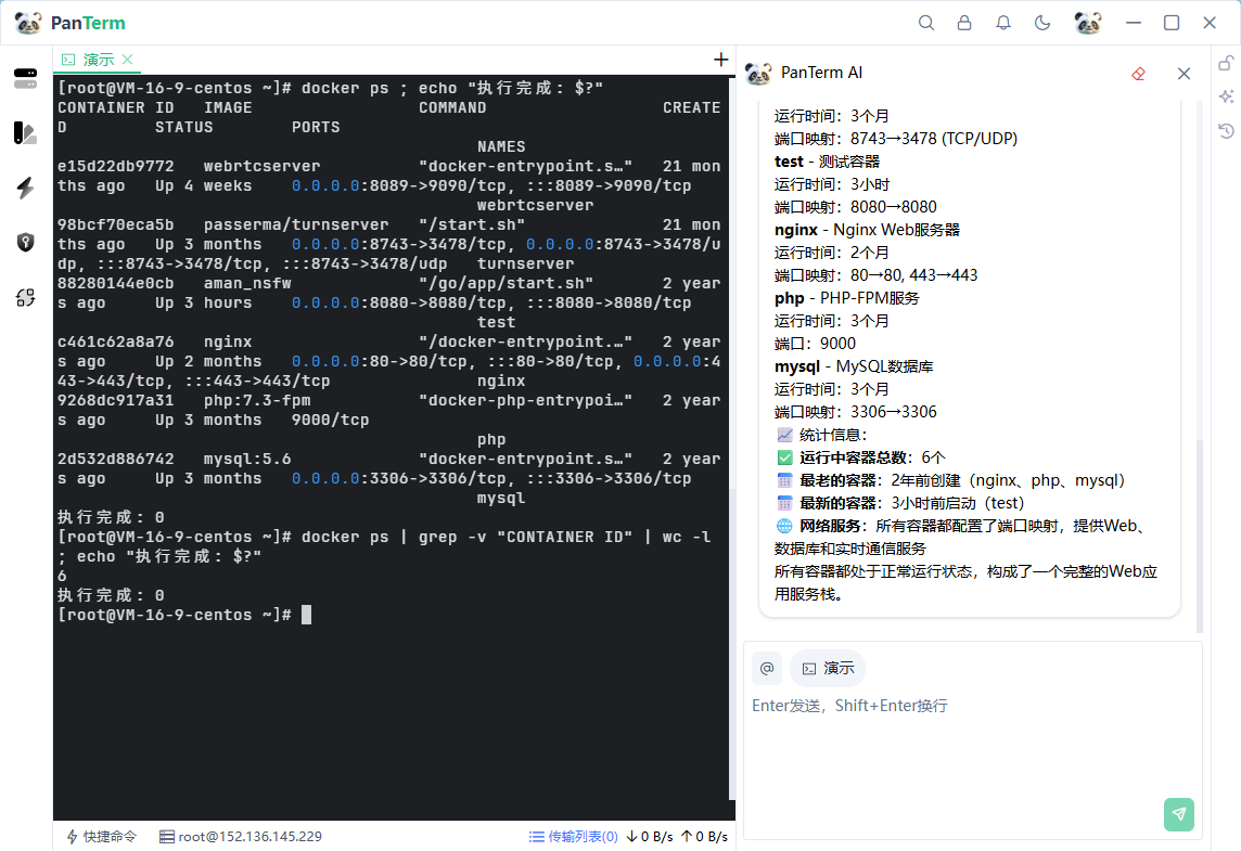 PanTerm AI命令分析